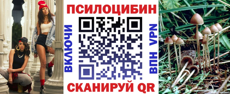 Псилоцибиновые грибы ЛСД  kraken сайт  Саров  купить наркотик 